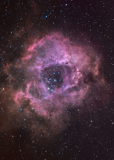 The Rosette Nebula Or The Skull Deography By Dylan Odonnell