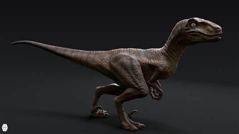 Artstation Velociraptor Texture Rework Personal Project Jurassic Park Original Style