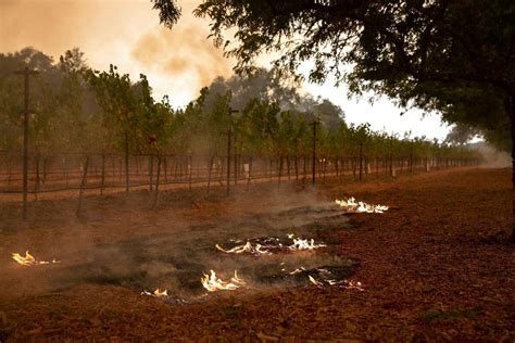 The List Of Napa Valley Wineries That Have Been Damaged Or Destroyed In The 2020 Glass Fire