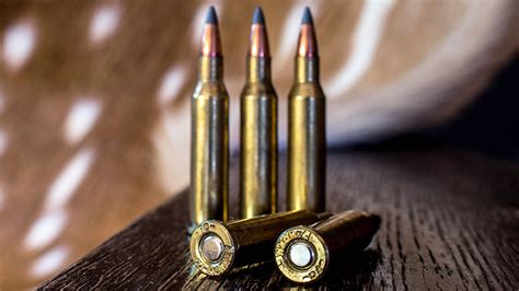 Behind The Bullet 17 Hornet An Official Journal Of The Nra