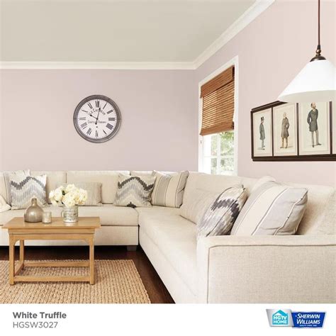 Hgtv Home By Sherwin Williams White Truffle Interior Paint Sample Half