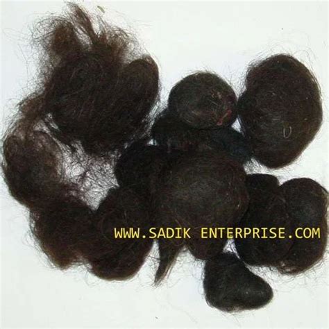 human hair balls at best price in beldanga by sadik enterprise id 6231338073