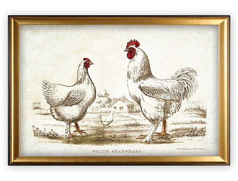 Chicken Sketch Ii Framed Oil Painting Print On Wrapped Canvas