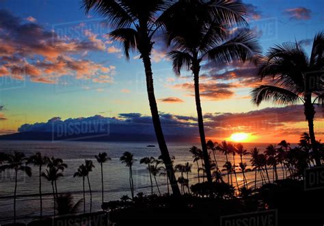 Hawaii Maui Kaanapali Beach Sunset With Beach And Palm Trees