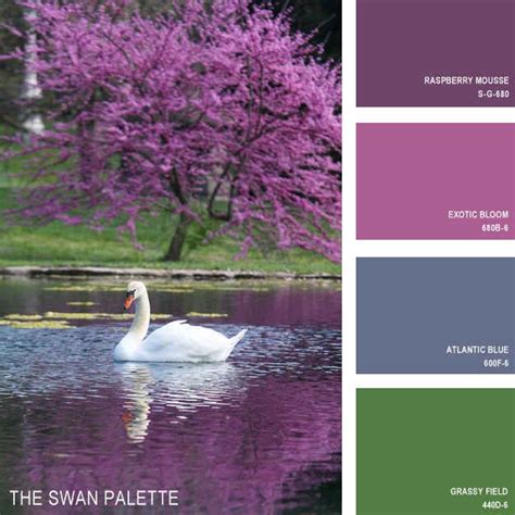 11 Beautiful Color Palettes Inspired By Nature Nature Inspiration