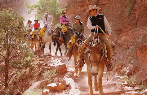 Travelettes Mule Ride Grand Canyon Travelettes