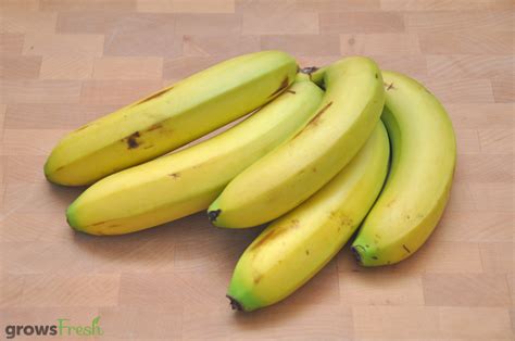 Organic Bananas Australian Growsfresh