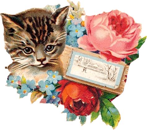 Zibi Vintage Scrap: Kociaki | Kittens vintage, Vintage cat, Vintage postcards