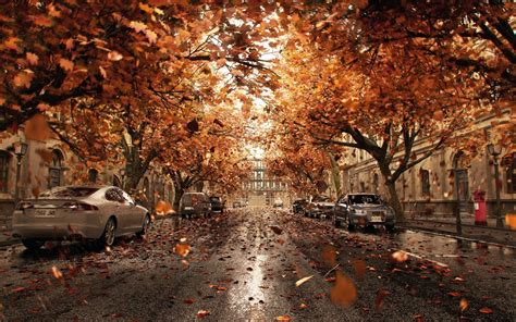 City Autumn Leaves Wallpapers Wallpaper Cave