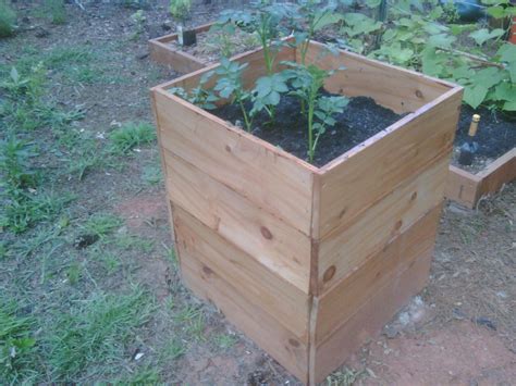 If you love the idea of homegrown mashed potatoes, you need to check out our selection of the best potato grow bags. Potato Growing Box