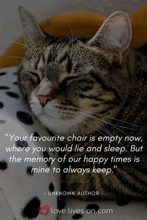 Https://tommynaija.com/quote/losing A Cat Quote