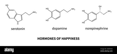 Hormones Of Happiness Serotonin Dopamine Norepinephrine Formula Of Neurotransmitter Brain