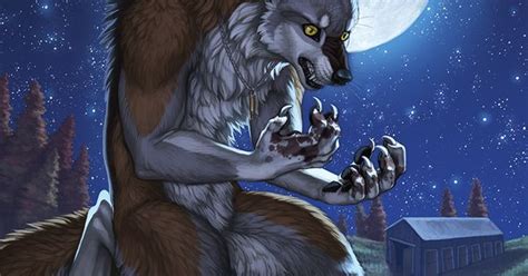 The Cover Art Of Werewolf Tale Done By Katie Hofgard One Among My