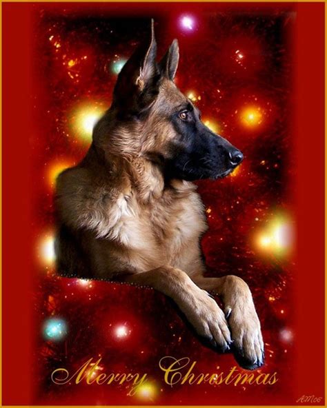 German Christmas Pictures Return From Gsd Wallpapers To