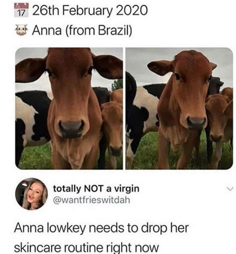 Don T Have A Cow Man Do Have A Cow Meme 25 Pics