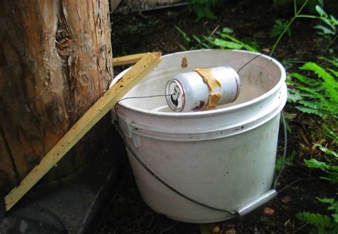 Diy bucket mouse trap homemade. Homemade Mouse Trap - Bob Vila