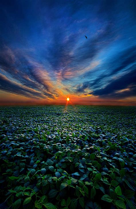 Horizons By Phil Koch Lives In Milwaukee Wisconsin