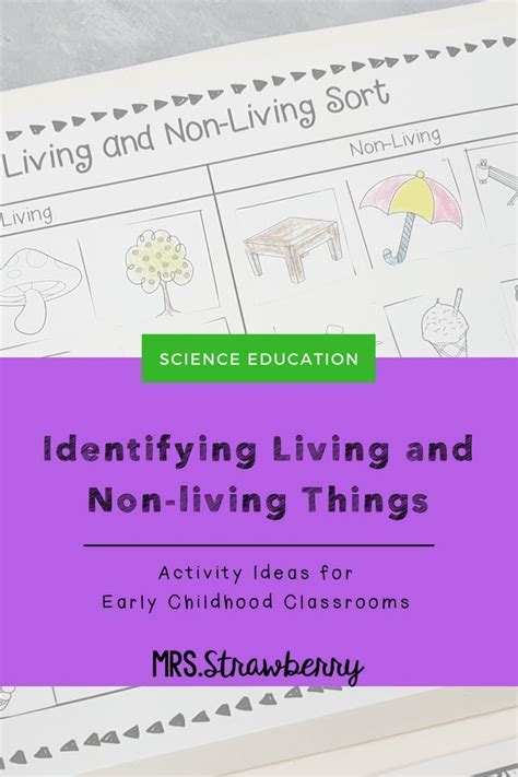Teaching Living And Non Living Science Concepts To Primary Students