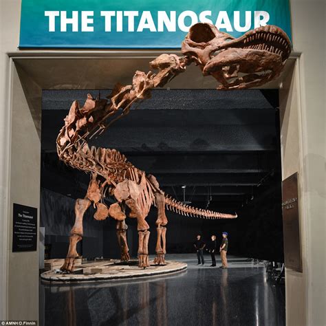 New York Gets A Titanosaur At Natural History Museum Daily Mail Online