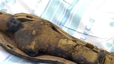 Ct Scan Reveals 3000 Year Old Non Human Egyptian Mummies Ancient Origins