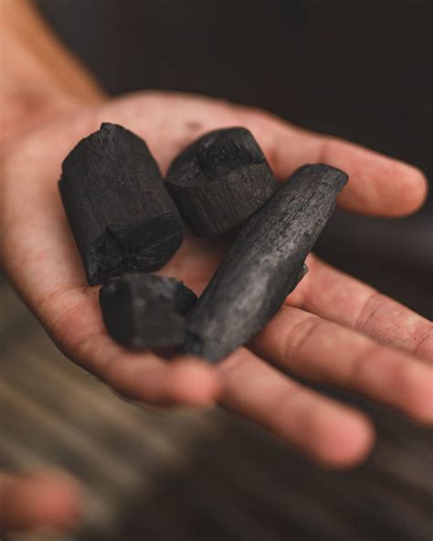 ¿qué Es El Carbón Vegetal Blog De Carbones Reinares