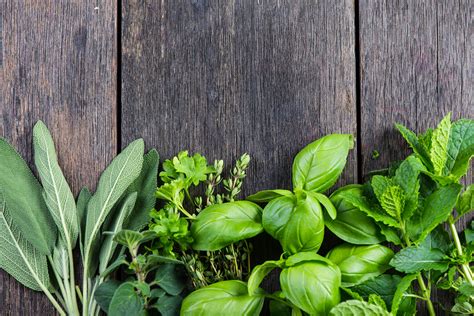 How To Grow An Indoor Herb Garden Digital Trends