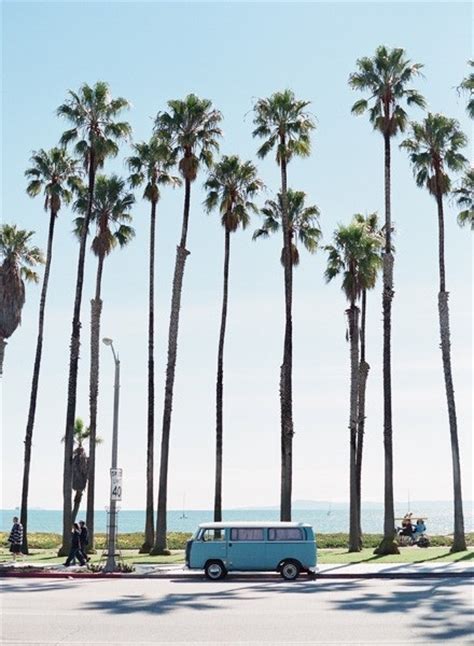 Dream California Beach Palm Trees Californiasaythatyouloveme