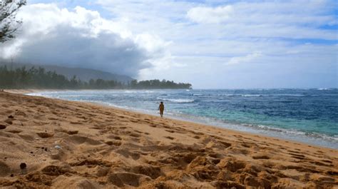 Are There Nude Beaches In Oahu Traxplorio