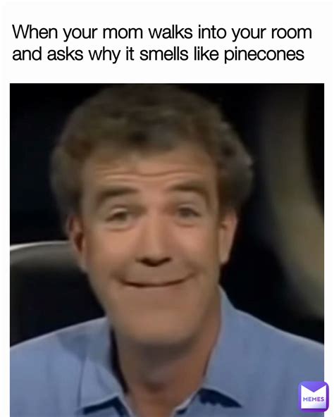 When Your Mom Walks Into Your Room And Asks Why It Smells Like Pinecones Tmemes93 Memes