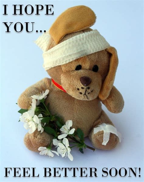 Cute Get Well Soon Teddy Bear With Flowers
