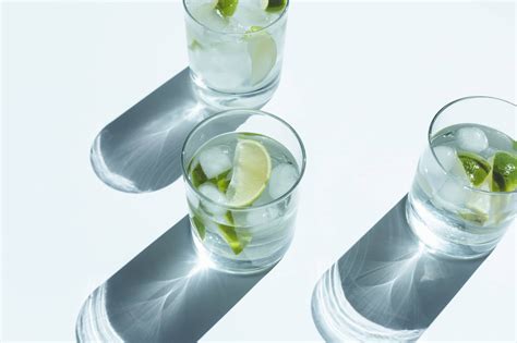 Gin Vs Vodka Popular Spirits With Many Similarities
