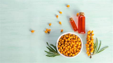 We are committed to natural health food products, such as chinese wolfberry, hemp seed, seabuckthorn, potentilla anserine, black buckwheat tea and a variety of plant extracts. Top 12 Health Benefits of Sea Buckthorn Oil