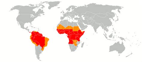 Yellow Fever Cases On The Rise In West Africa Bugbitten