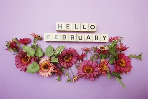 Hello February Alphabet Letters With Pink Flower Decoration On Purple