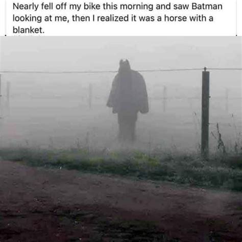 nearly fell off my bike this morning and saw batman looking at me then i realized it was a
