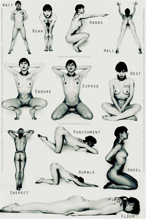 Bdsm Gorean Sex Positions Pictures Hot Nude Photos Comments 1
