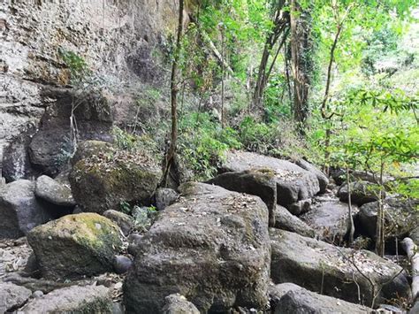 ผาเดียวดาย เป็นจุดชมวิว หน้าผาสูง อยู่ในอุทยานแห่งชาติเขาใหญ่ นอกจากนี้ยังมีเส้นทางศึกษาธรรมชาติพรรณไม้นานาชนิด ตำแหน่งตั้งอยู่บนยอดเขา. อุทยานแห่งชาติเขาใหญ่ (ปากพลี, ไทย) - รีวิว - Tripadvisor