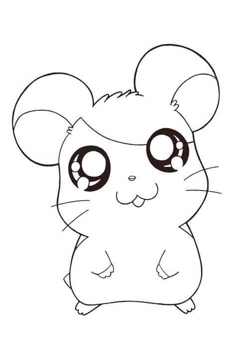 Hamster Kawaii Para Colorir Imprimir E Desenhar Colorir Me