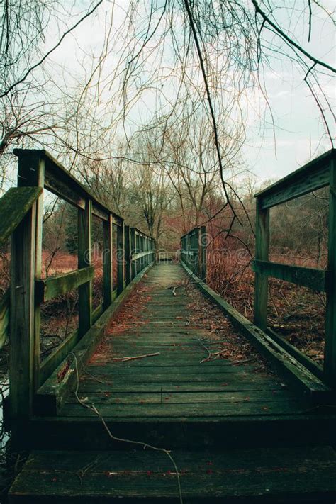 Looking Across A Broken And Overgrown Wooden Bridge Stock Image Image