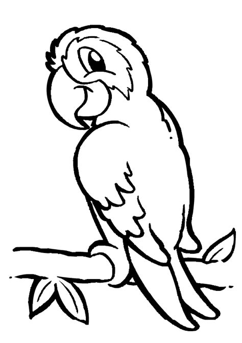 Free Printable Parrot Coloring Pages Pet Tropical Bird Coloring Print