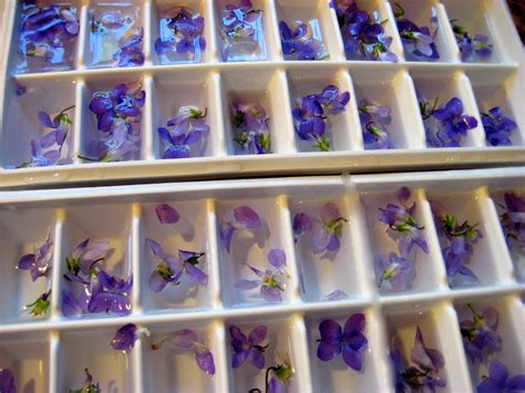 13 979 441 tykkäystä · 292 891 puhuu tästä. Inspiration Treasures: DIY Floral Ice Cubes