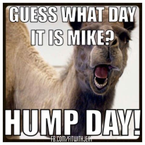 Mike Mike Mike Mike Mike This Commercial Makes Me Giggle Humor So True Hump Day Humor