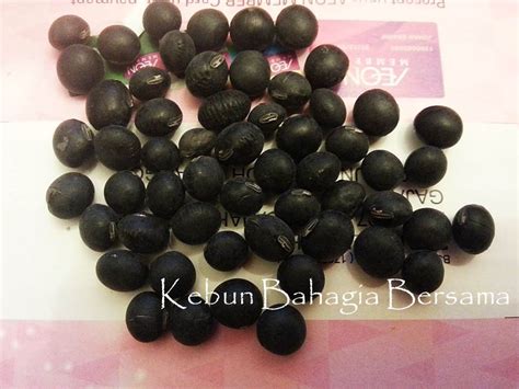 Antara kebaikan kacang kuda adalah meningkatkan penghadaman, mengekalkan kestabilan tahap gula dalam darah, meningkatkan perlindungan terhadap sindrom. Kebun Bahagia Bersama: Black Edamame Bean