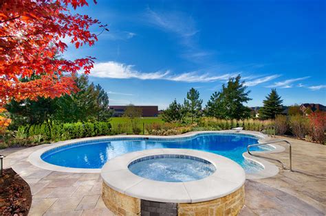Naperville Il Freeform Pool With Raised Spa