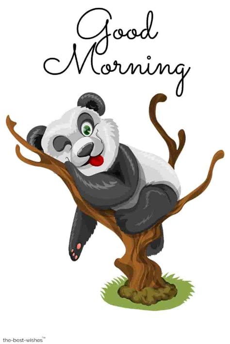 Afternoon Good Morning Wishes Cartoon Images
