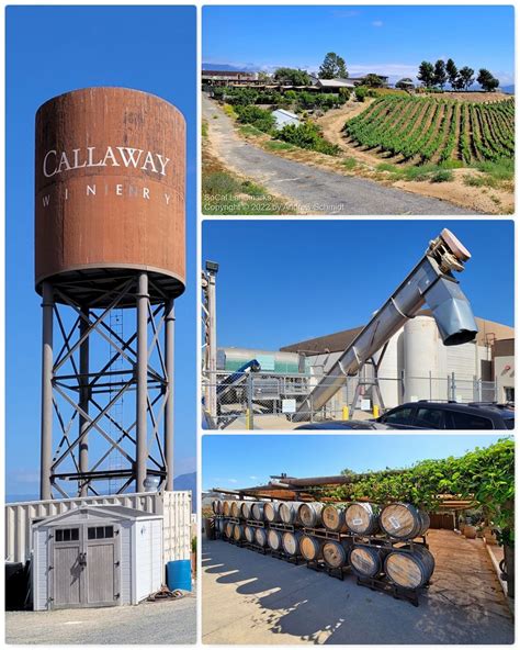 It Is Said That Ely Callaway Put Temecula On The Map As A Serious Wine