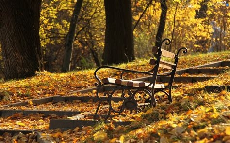 Park Autumn Leaf Bench Nice Wallpapers 1920x1200