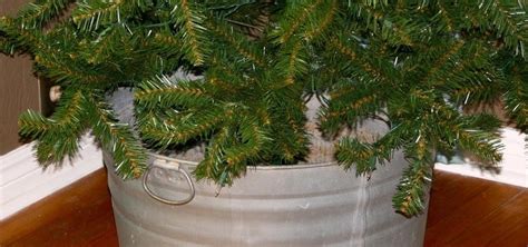 How To Get A 5 Christmas Tree And How To Take Care Of It Christmas
