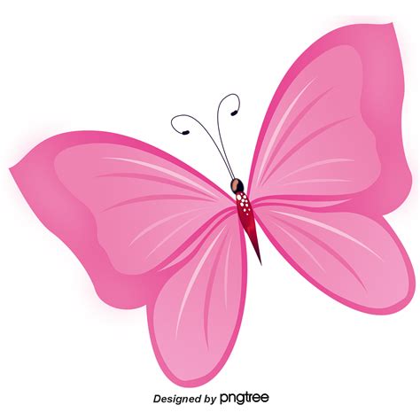 Pin De Jersy Vallim Em Temas Desenhos De Flores Borboleta Rosa