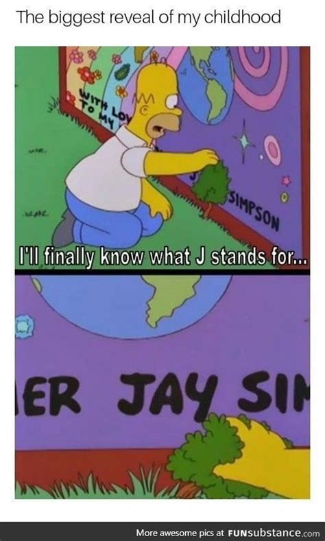 Homer J Simpson Funsubstance In 2020 Clean Funny Memes Funny Memes